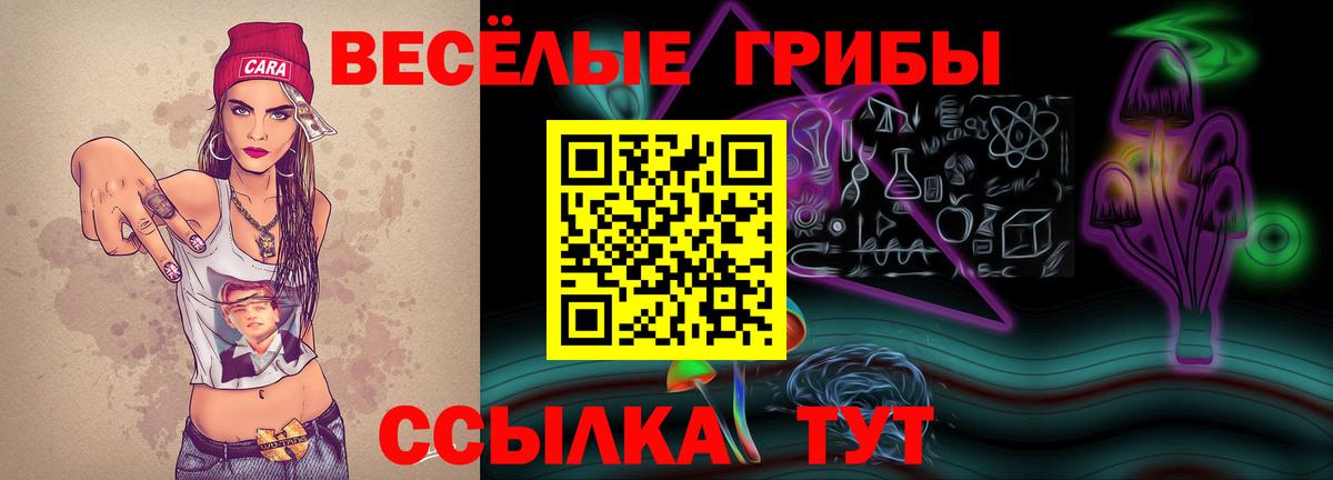 Городец  Псилоцибиновые грибы мицелий  Псилоцибиновые грибы Psilocybine cubensis  Вход с VPN 